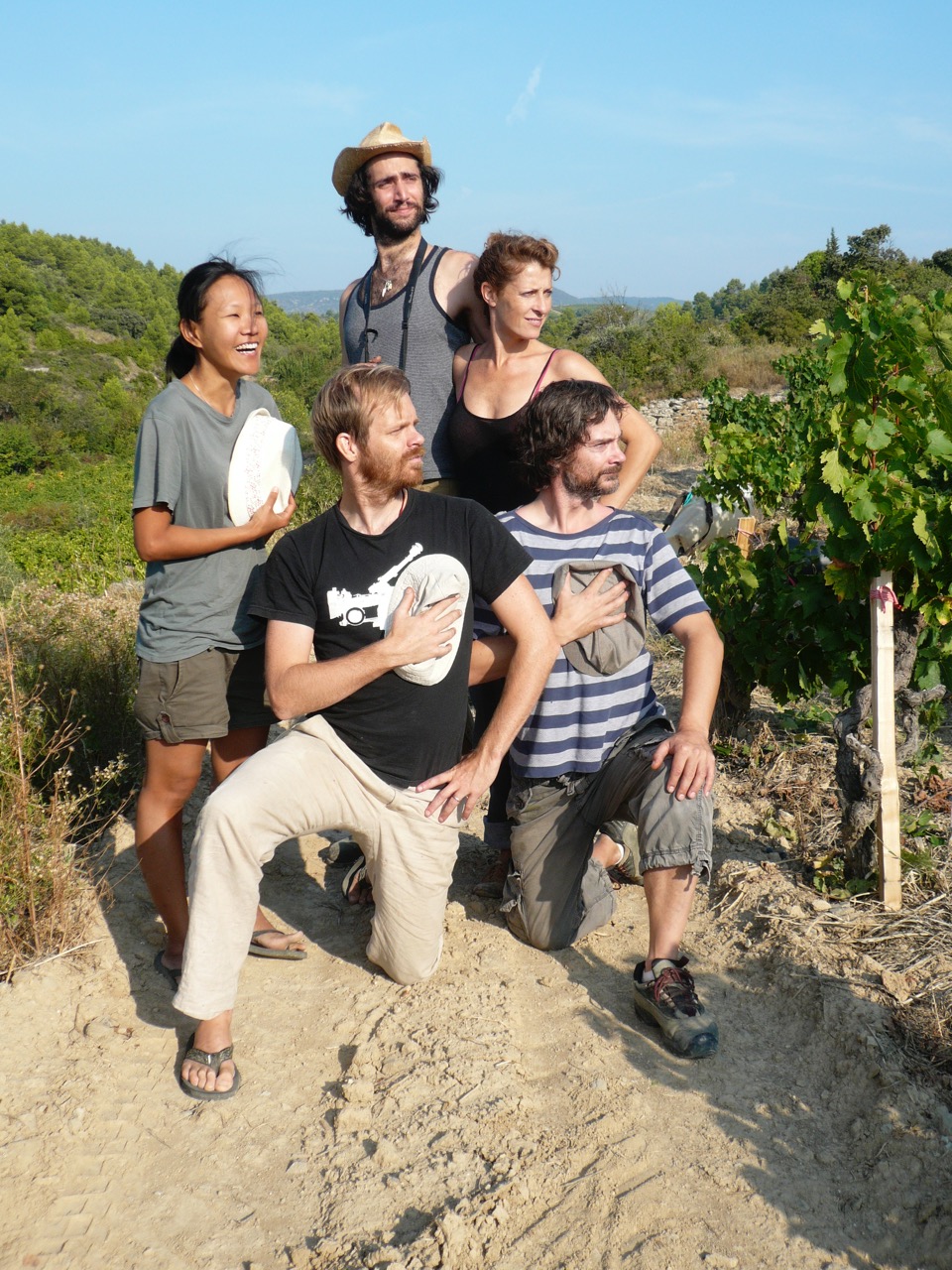 Grape pickers harvesting in 2009
