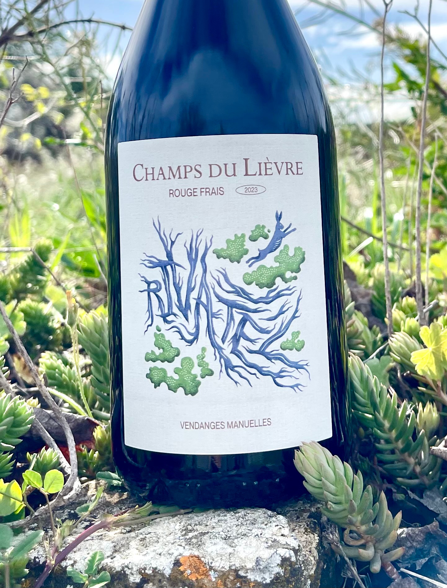 Champs du Lièvre wine bottles at the winery